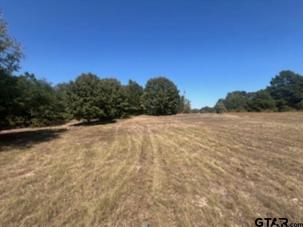 10.53 acres in Smith County - photo 31