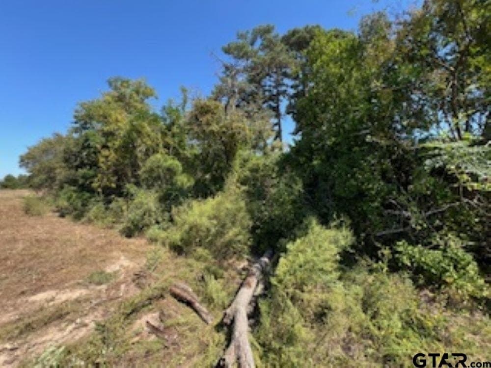 10.53 acres in Smith County - photo 14