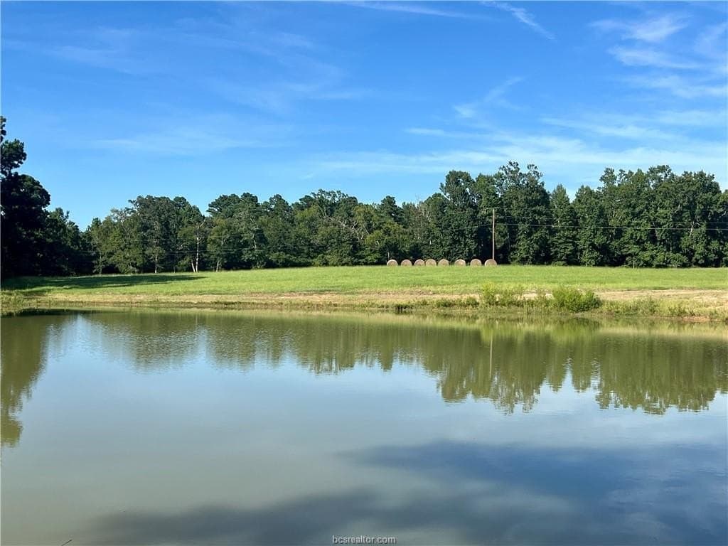 13.72 acres in Leon County gallery image 3