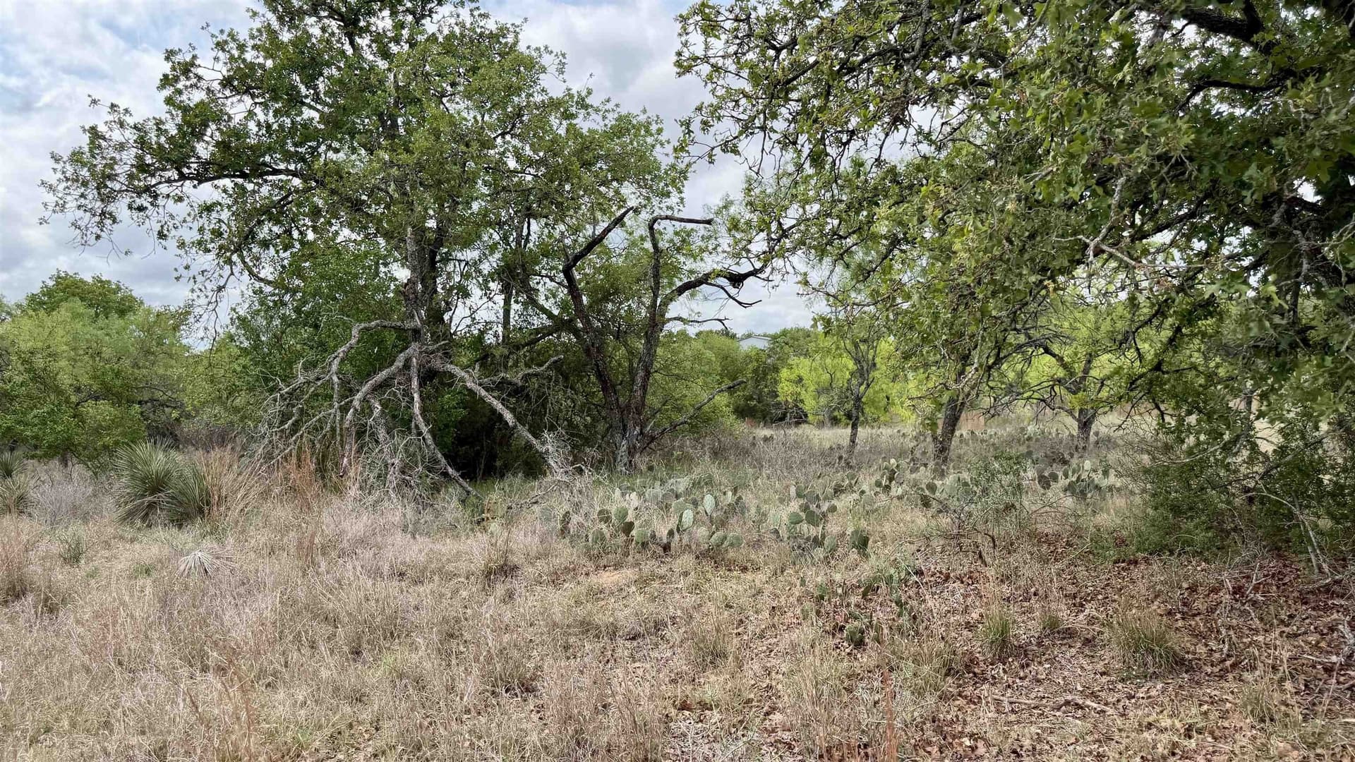 0.28 acres in Llano County gallery image 3