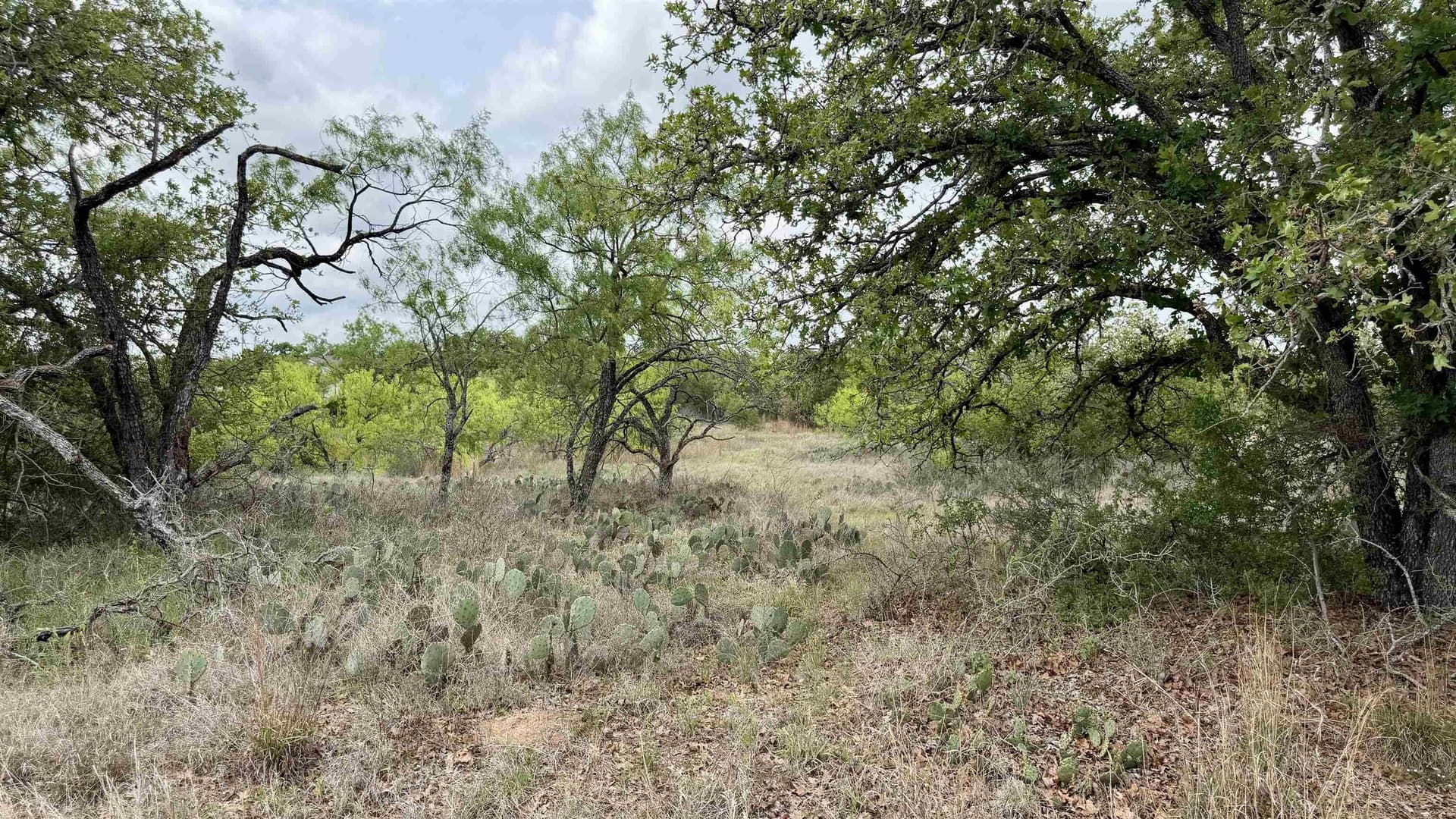 0.28 acres in Llano County gallery image 4