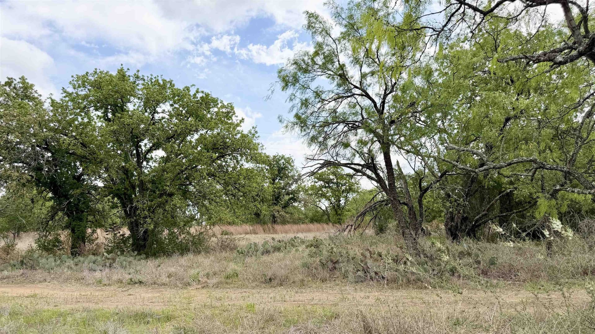 0.28 acres in Llano County - photo 9