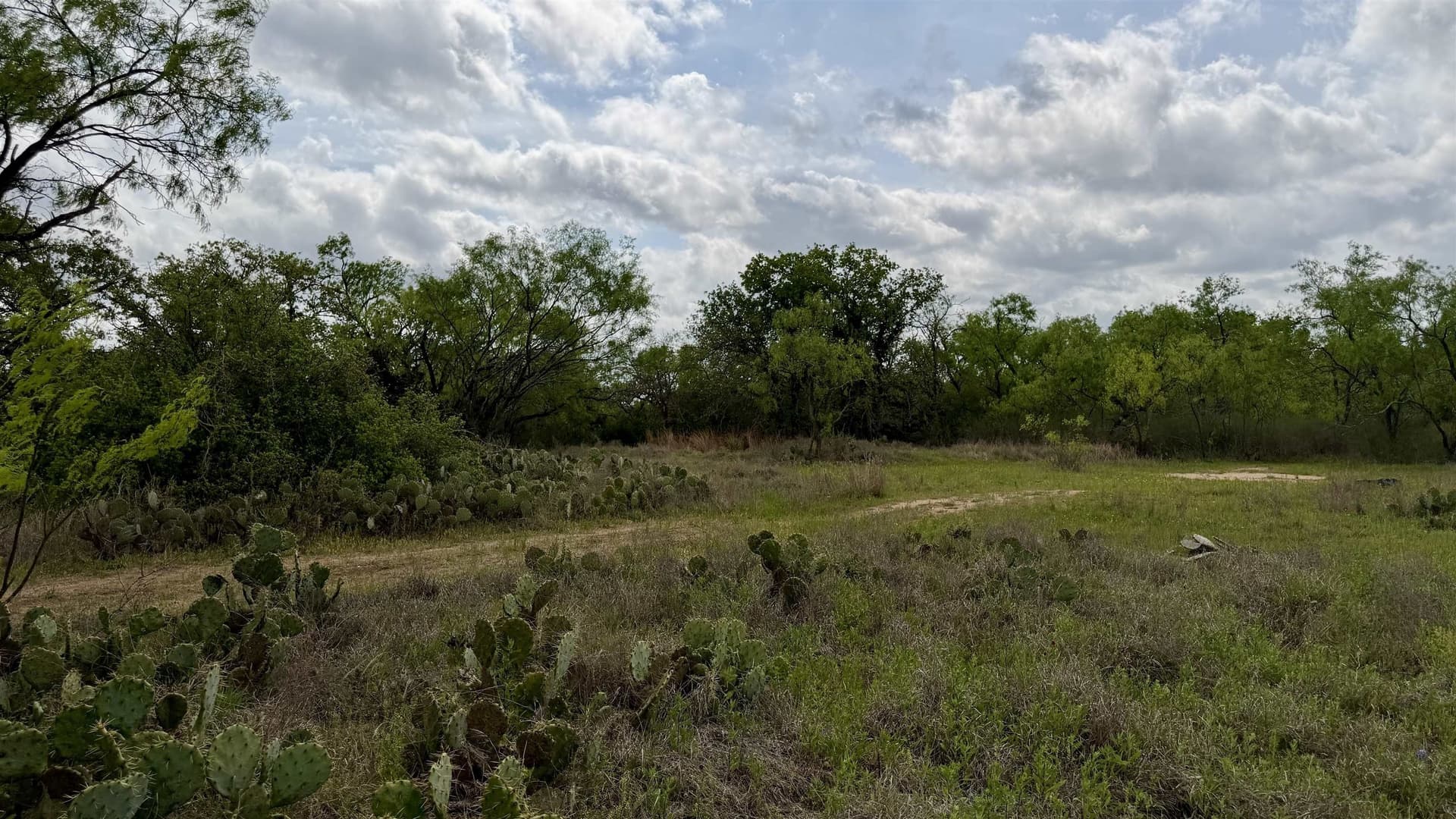 0.28 acres in Llano County - photo 8