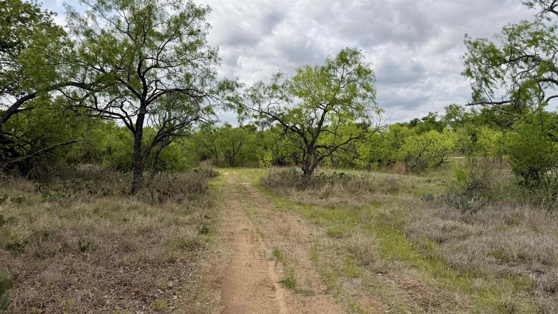 0.28 acres in Llano County featured view