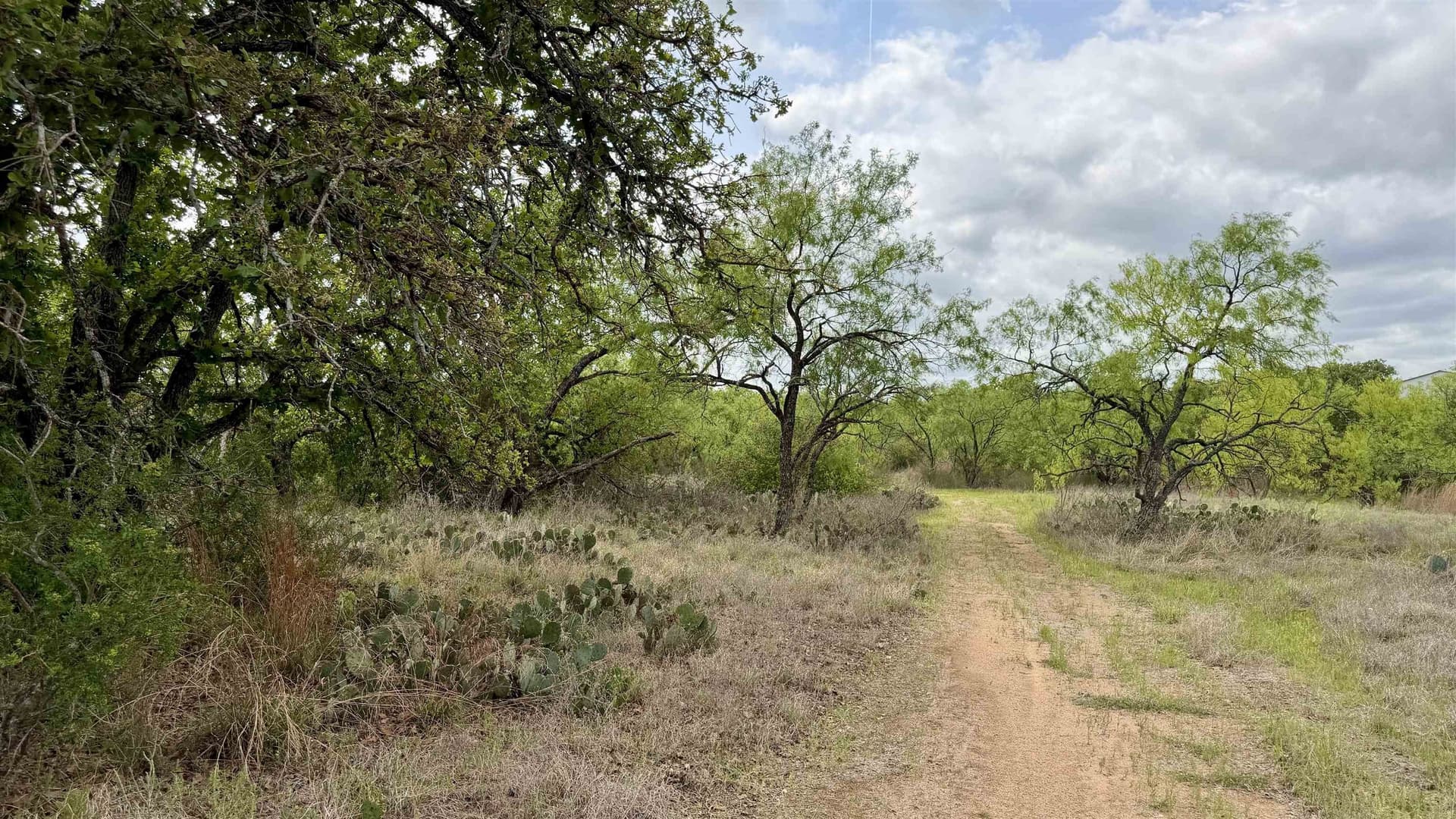 0.28 acres in Llano County gallery image 2