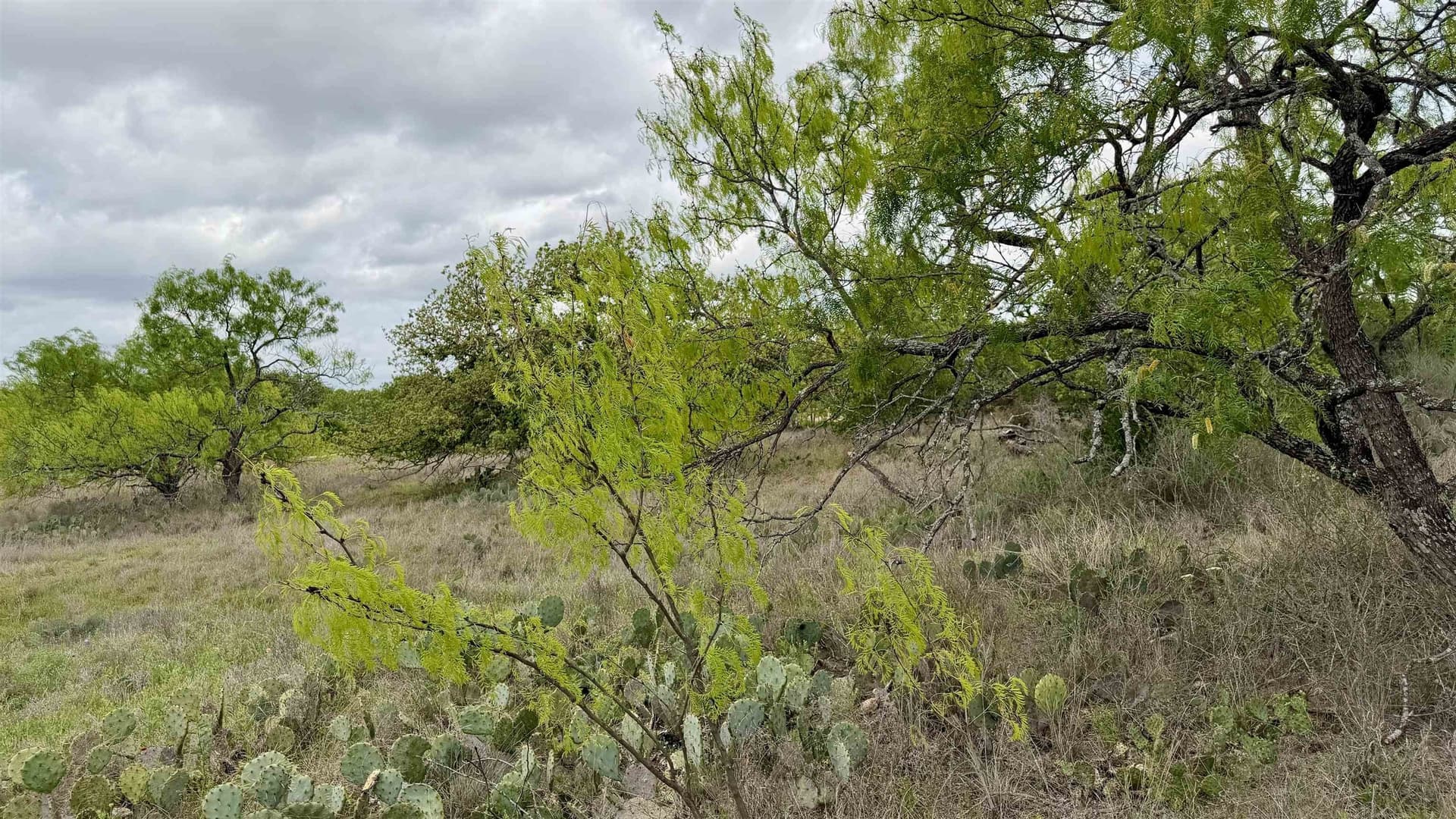 0.28 acres in Llano County - photo 6