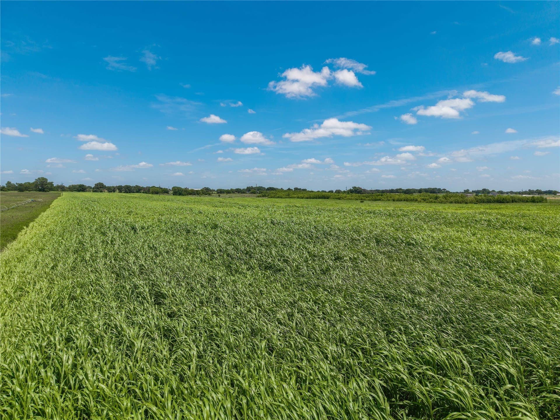 25.5 acres in Comanche County gallery image 4