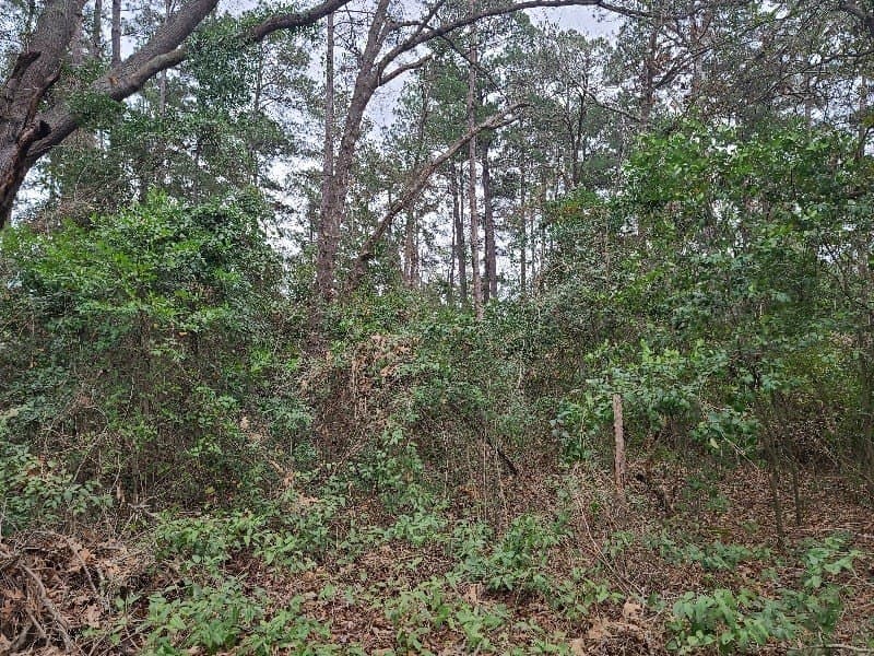 1.97 acres in Texas County - photo 6