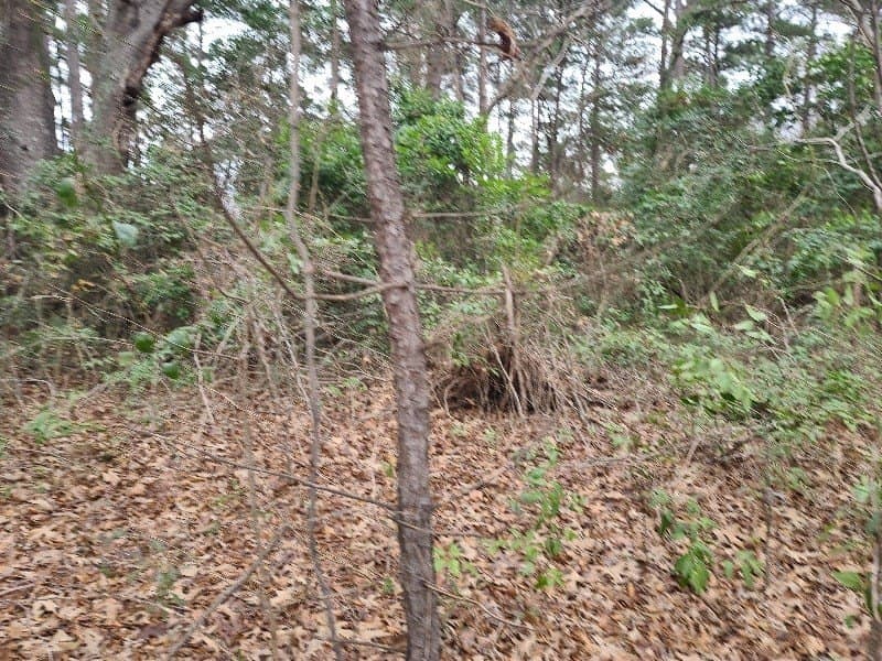 1.97 acres in Texas County - photo 8