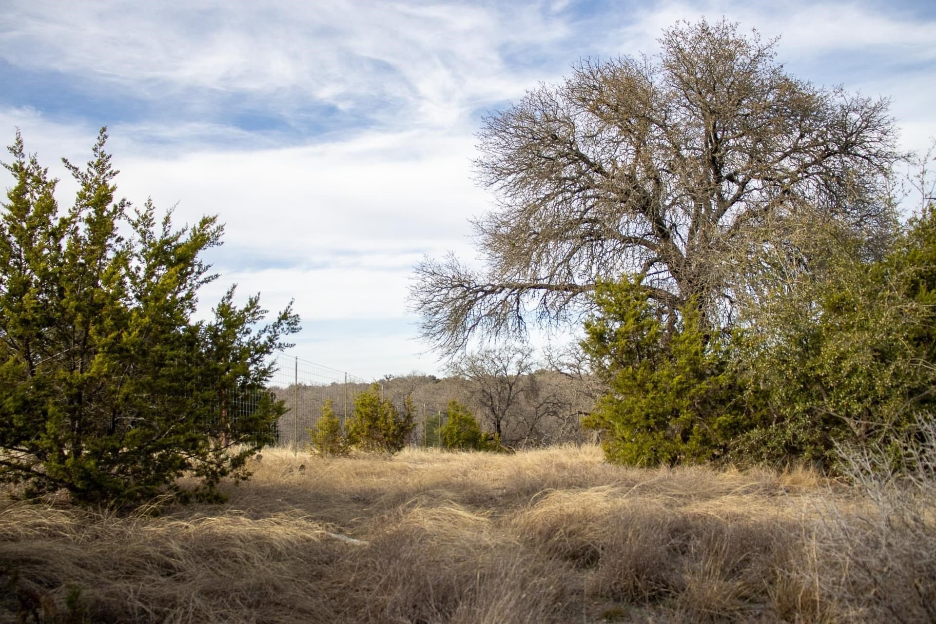 10.01 acres in San Saba County - photo 9