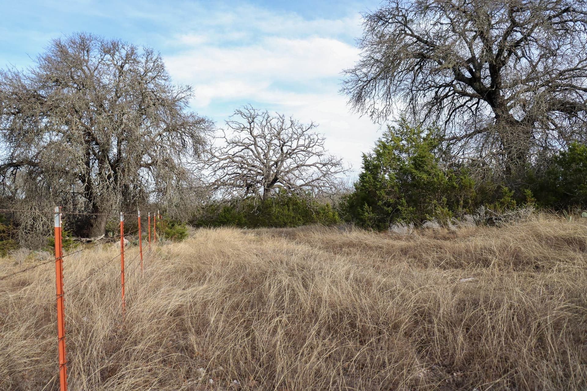 10.01 acres in San Saba County - photo 10