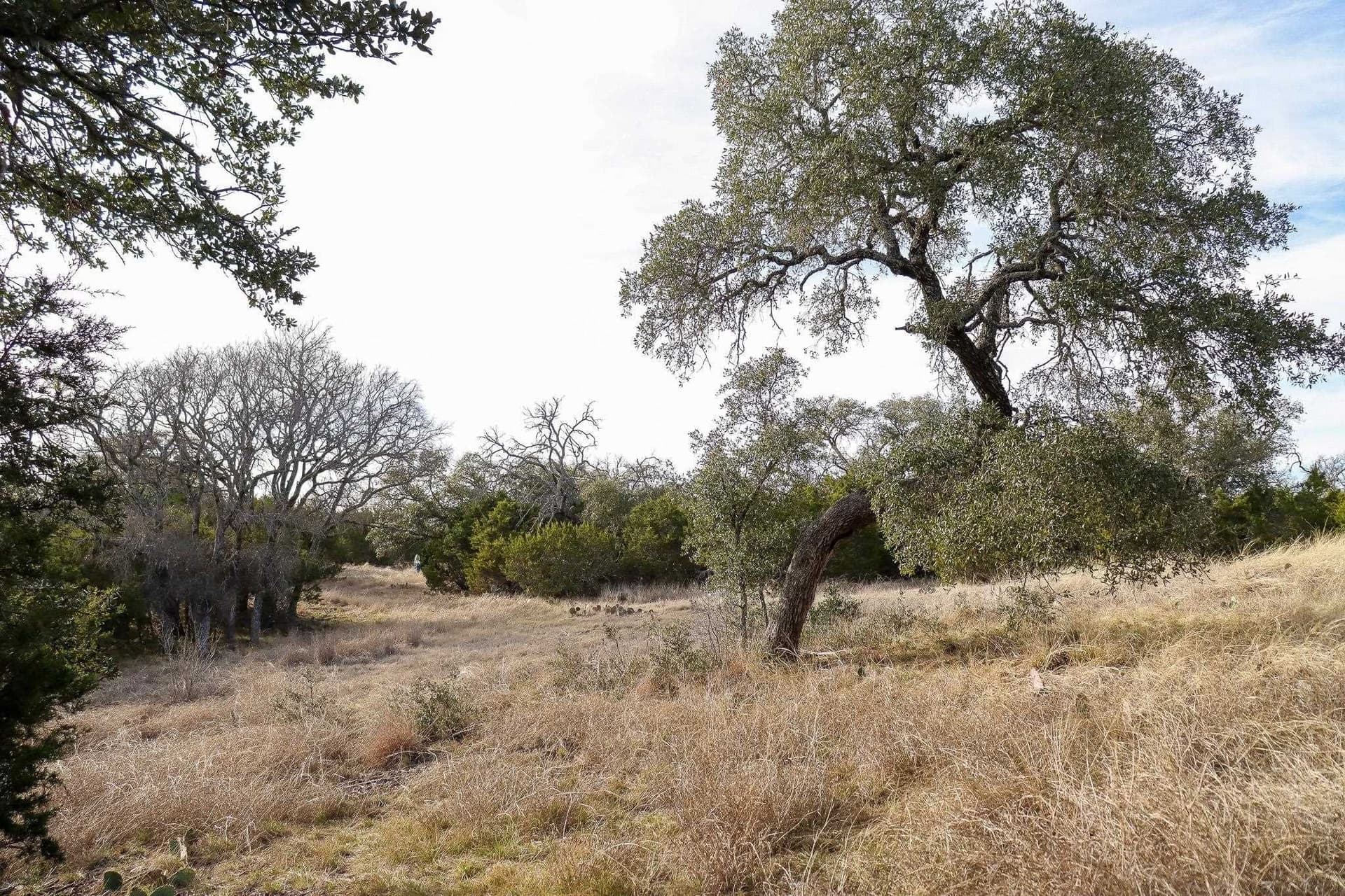 10.01 acres in San Saba County - photo 8
