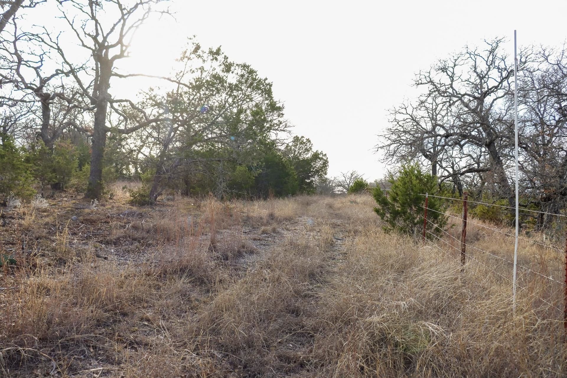 10.01 acres in San Saba County - photo 11