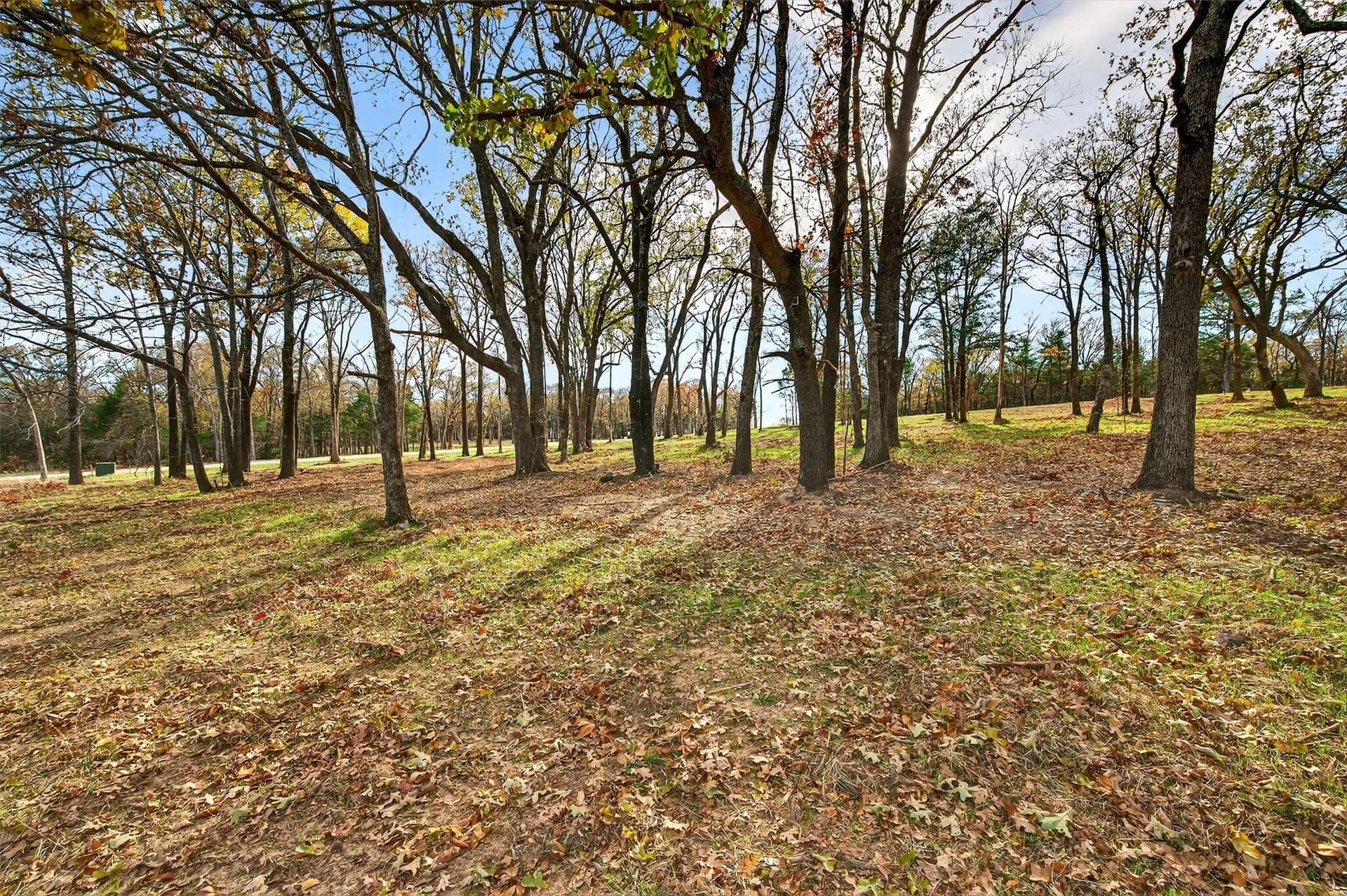 1 acres in Grayson County - photo 20