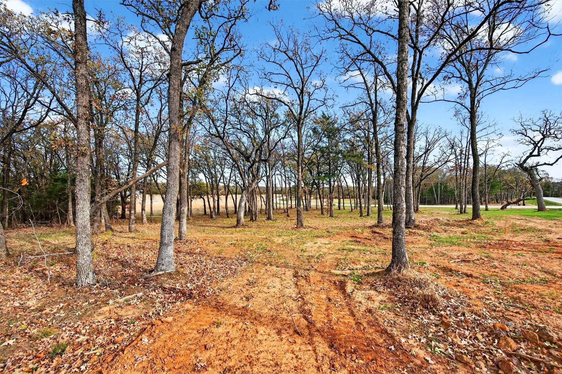 1 acres in Grayson County - photo 17