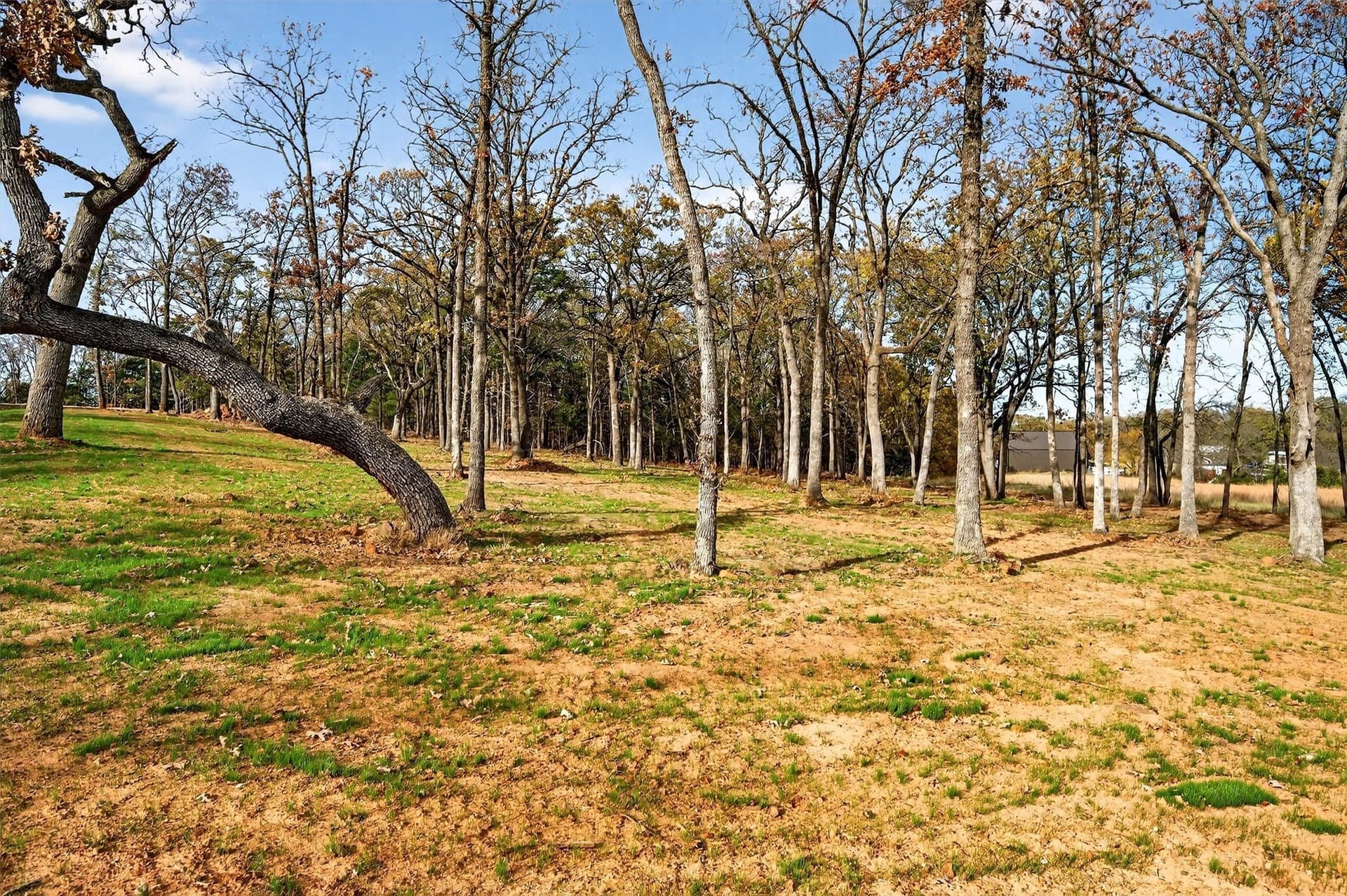 1 acres in Grayson County - photo 22