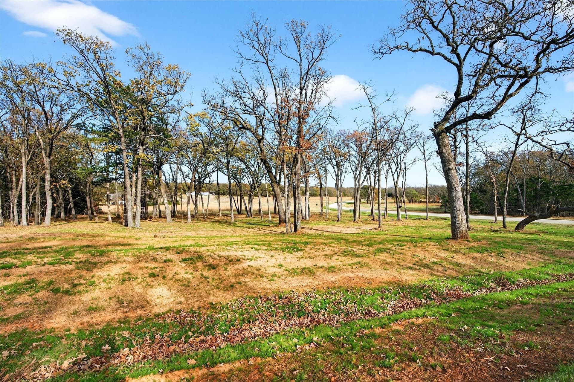 1 acres in Grayson County - photo 23