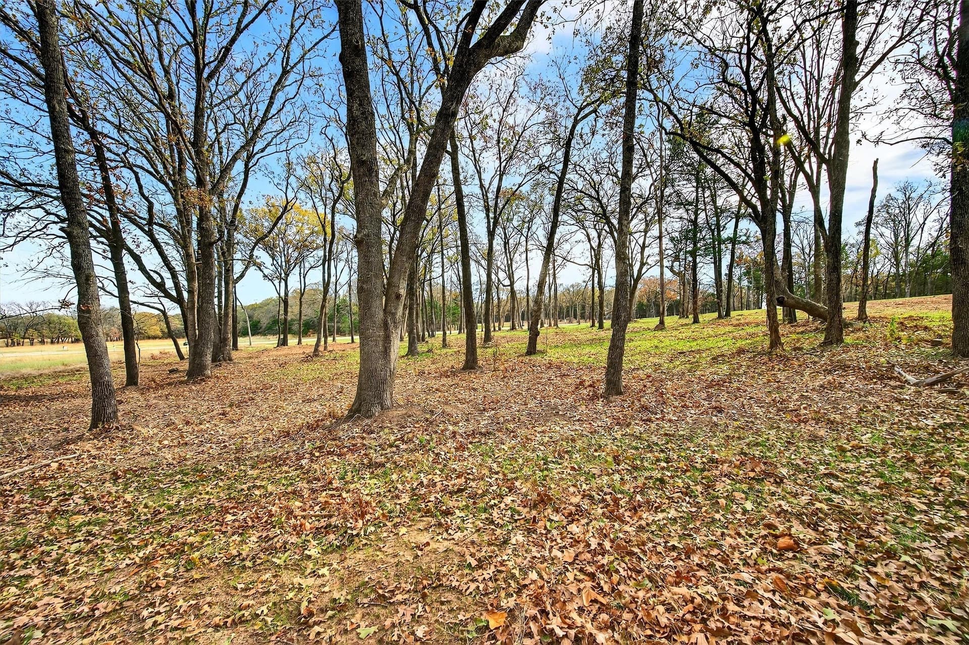 1 acres in Grayson County - photo 19