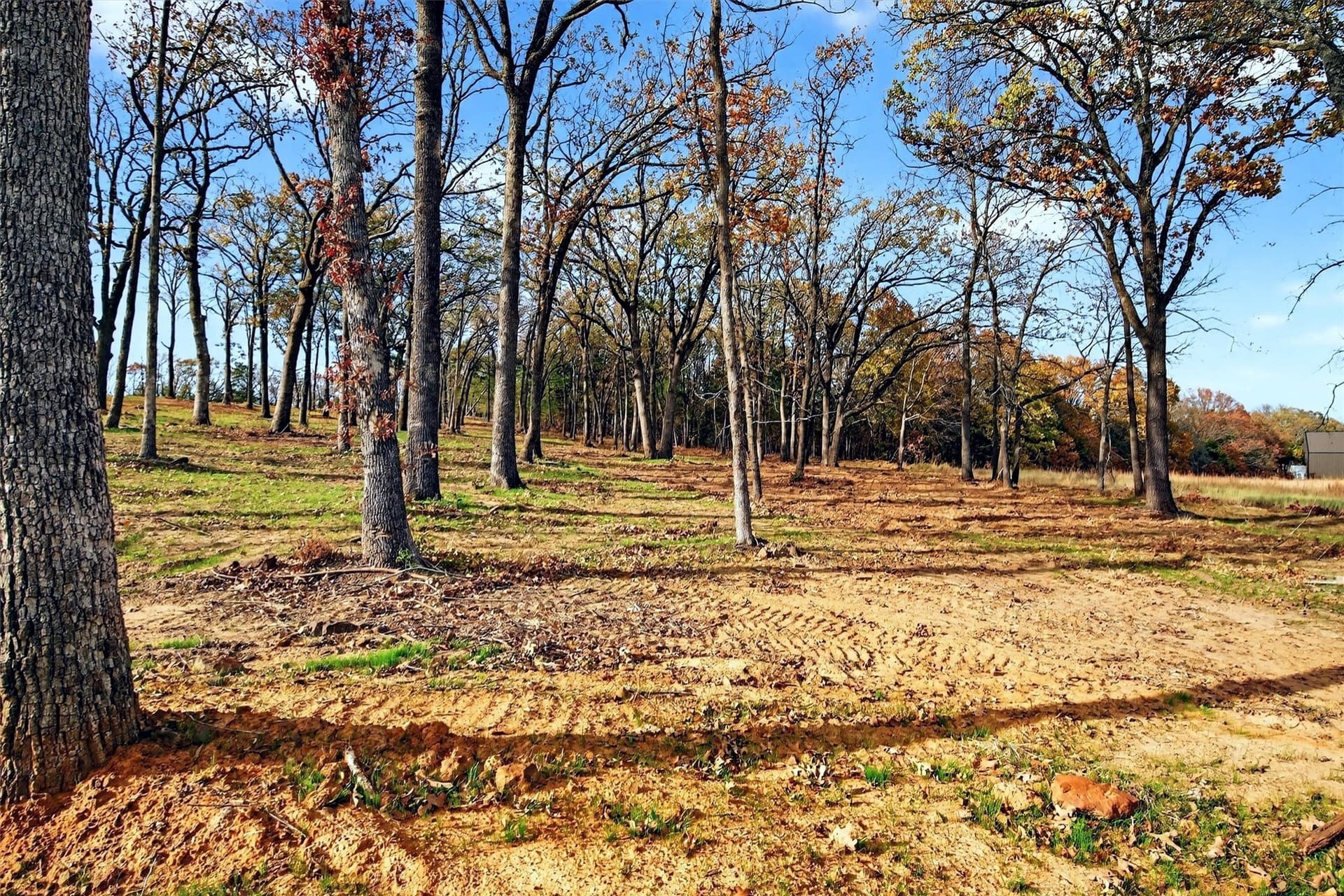 1 acres in Grayson County - photo 21