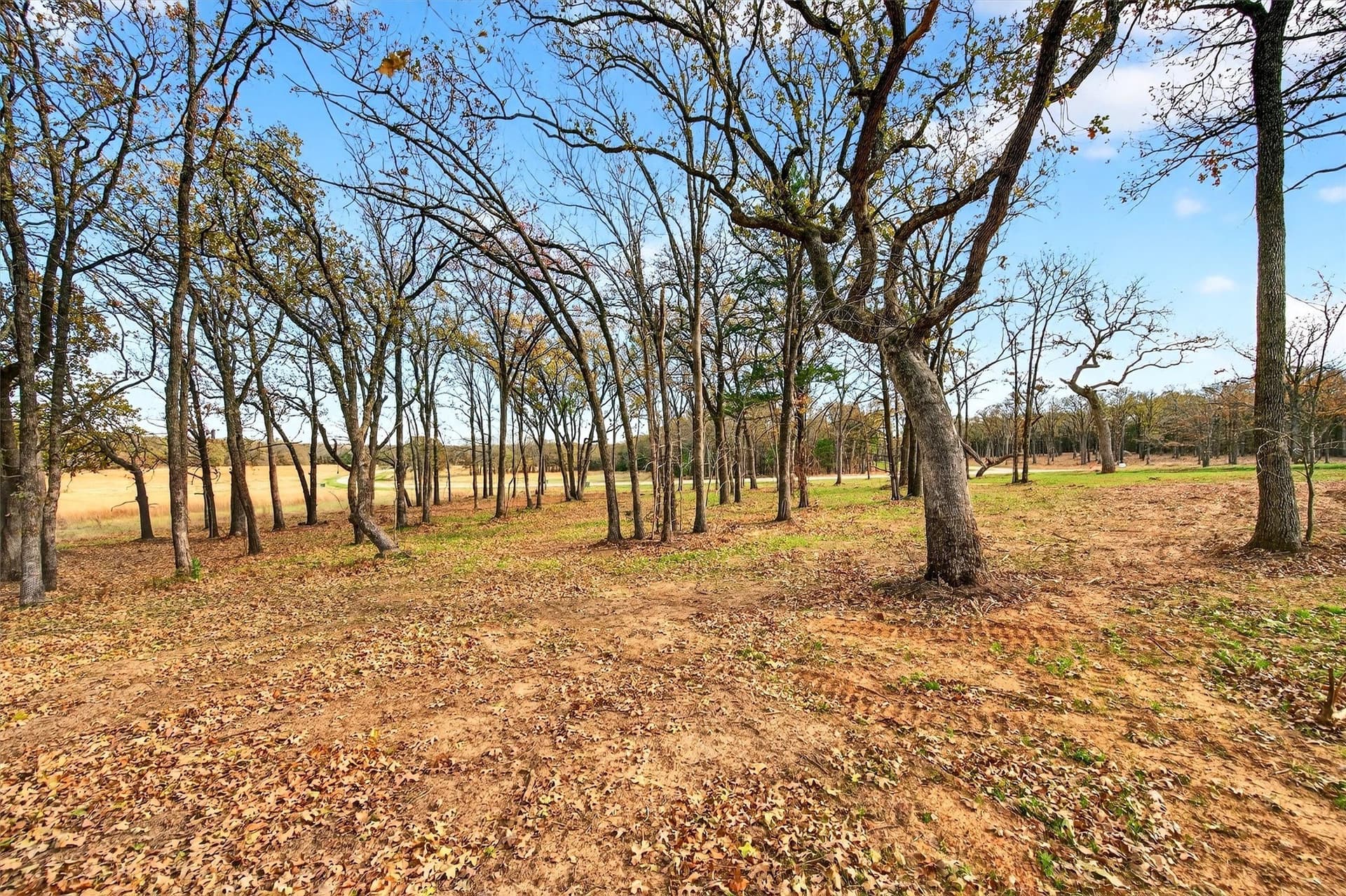 1 acres in Grayson County - photo 18