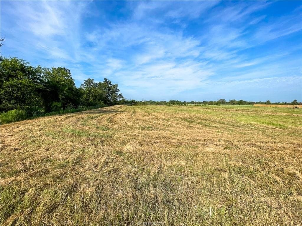 2.89 acres in Brazos County gallery image 3