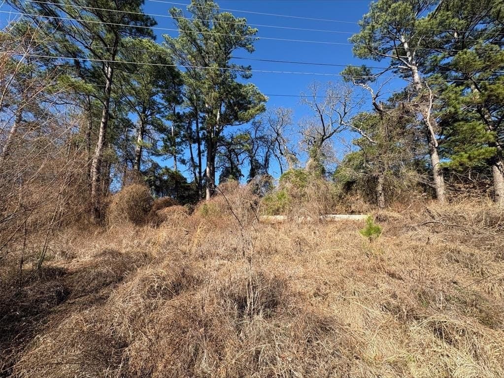 0.12 acres in Smith County gallery image 4