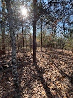 1.78 acres in Navarro County gallery image 2