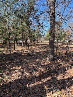 1.78 acres in Navarro County - photo 9