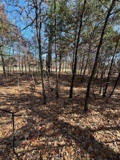 1.78 acres in Navarro County - photo 6