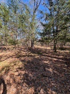 1.78 acres in Navarro County - photo 11