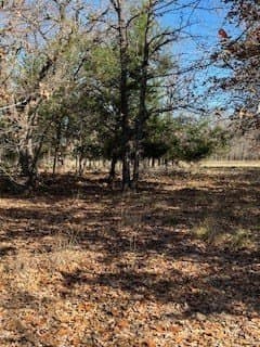1.78 acres in Navarro County - photo 7