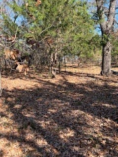 1.78 acres in Navarro County - photo 14