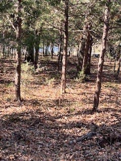 1.78 acres in Navarro County - photo 10