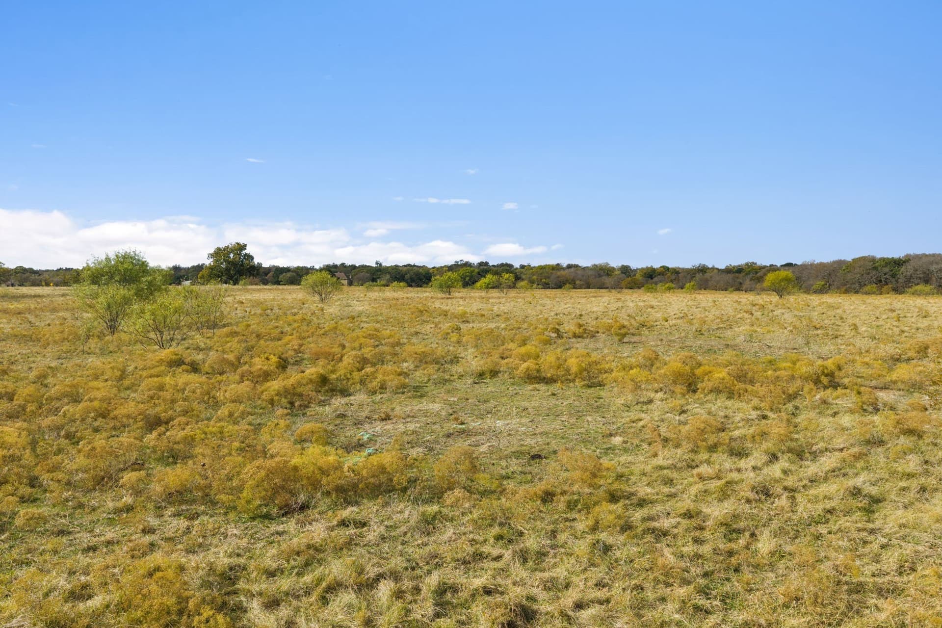 48.54 acres in Denton County - photo 6