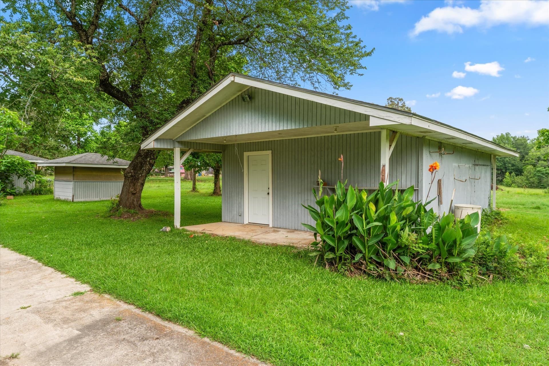 25 acres in Titus County - photo 5