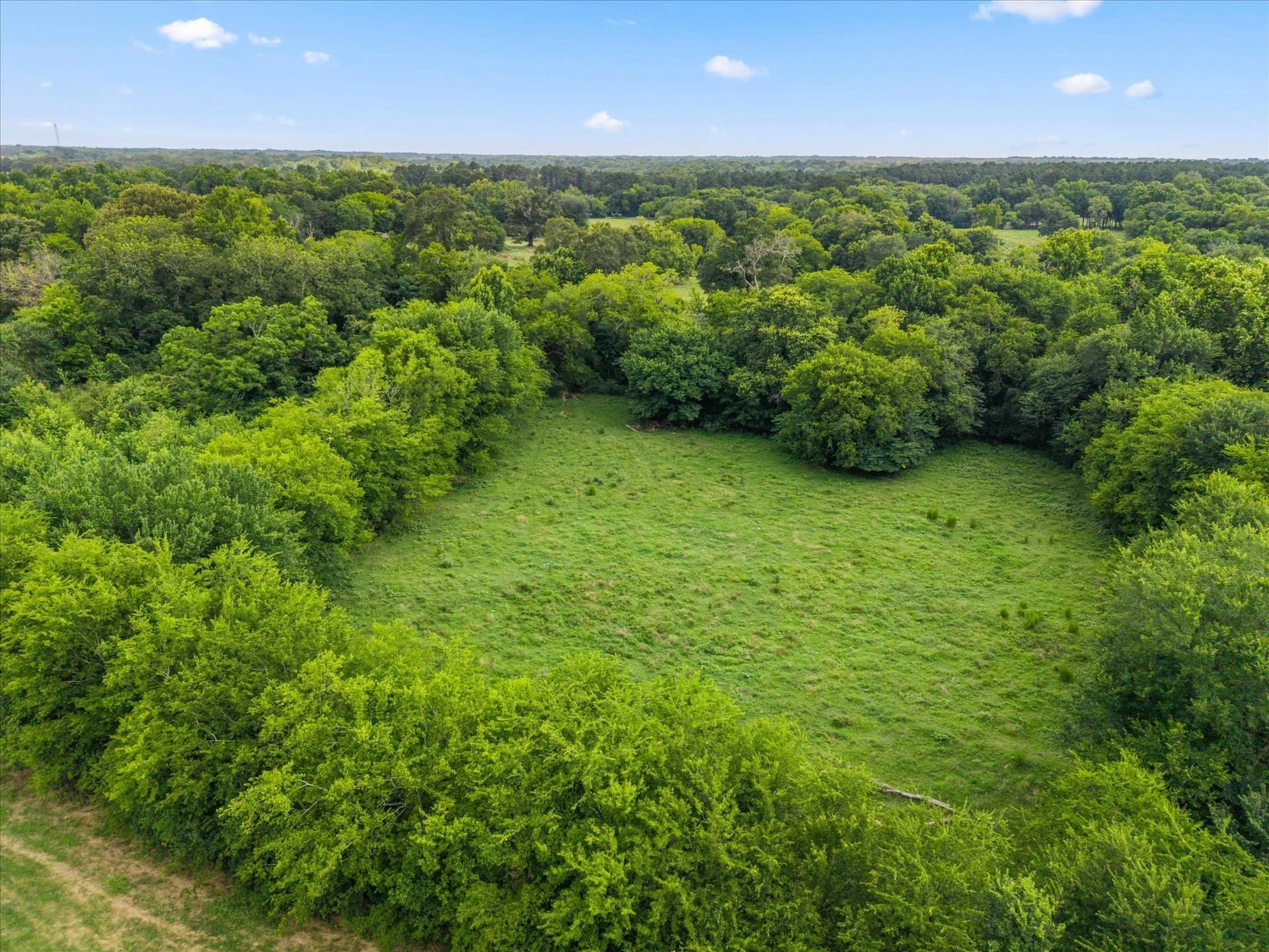 25 acres in Titus County - photo 28