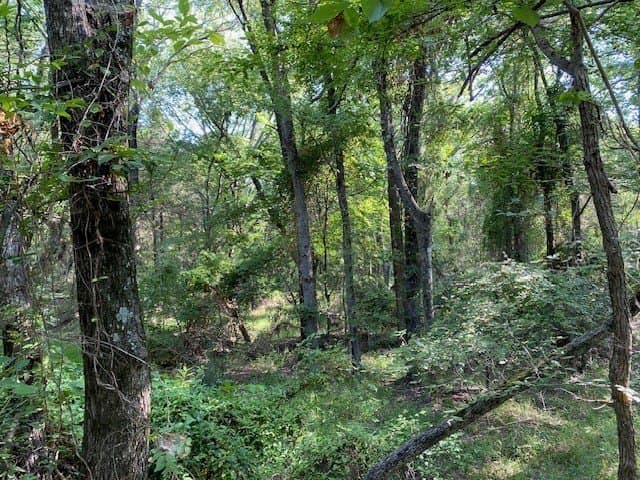12.42 acres in Henderson County - photo 4