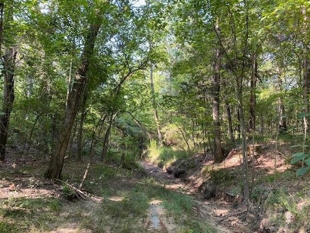 12.42 acres in Henderson County - photo 2