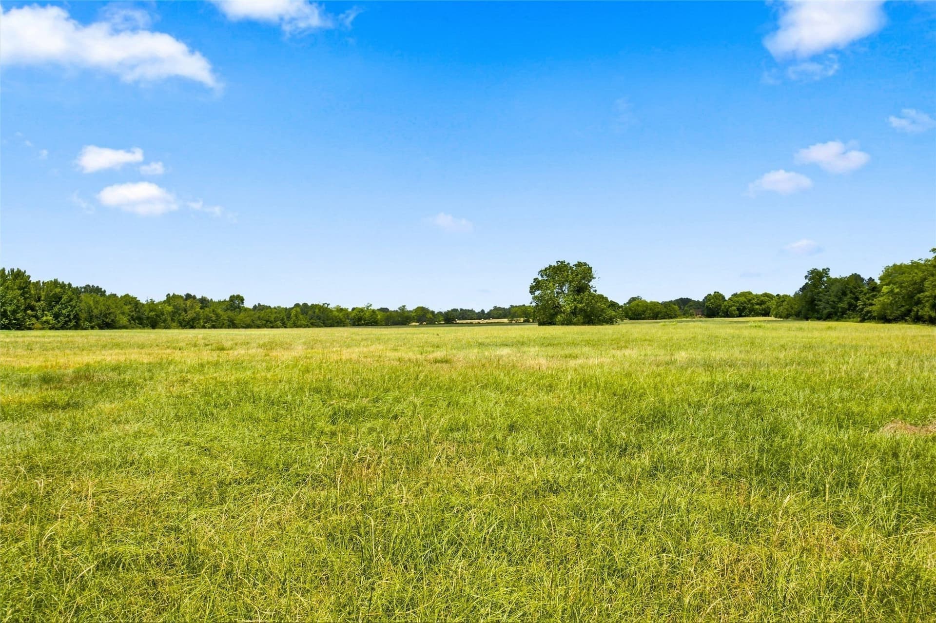 4.5 acres in Hopkins County - photo 12