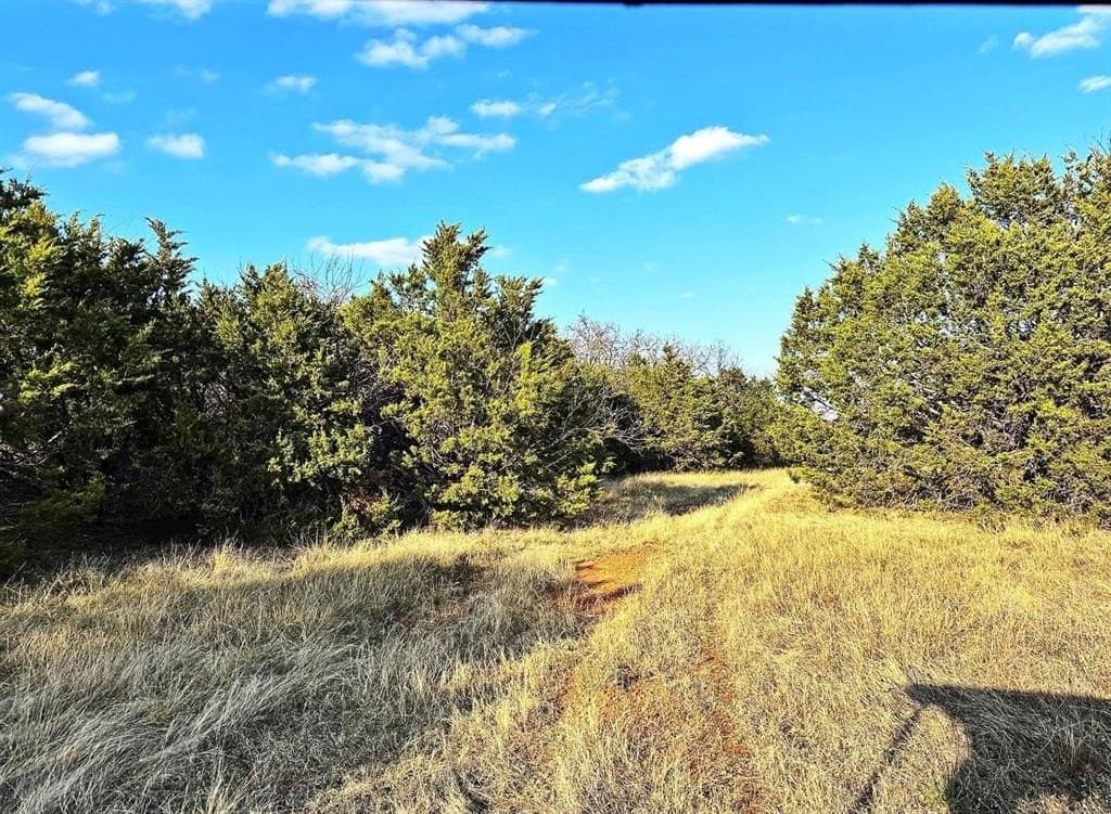 40.18 acres in Erath County gallery image 3