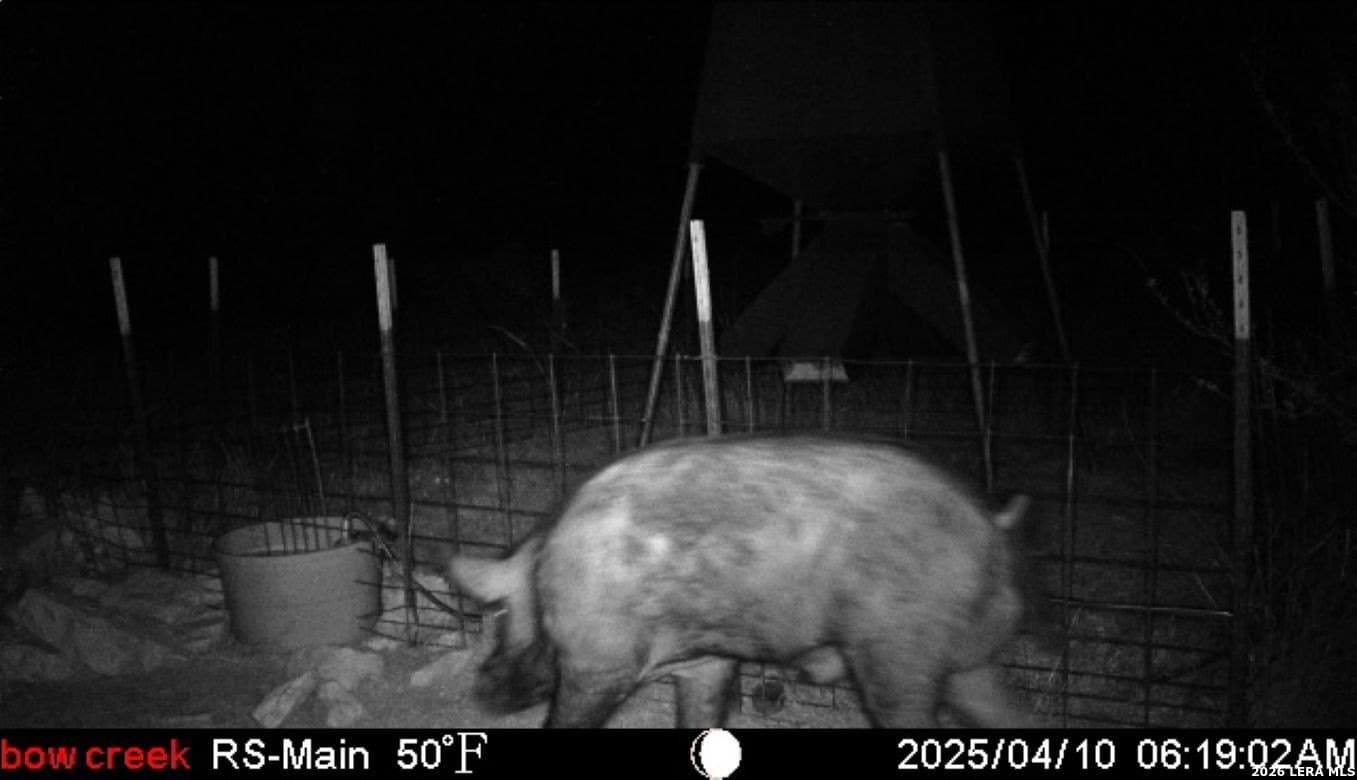 148.66 acres in Edwards County - photo 15