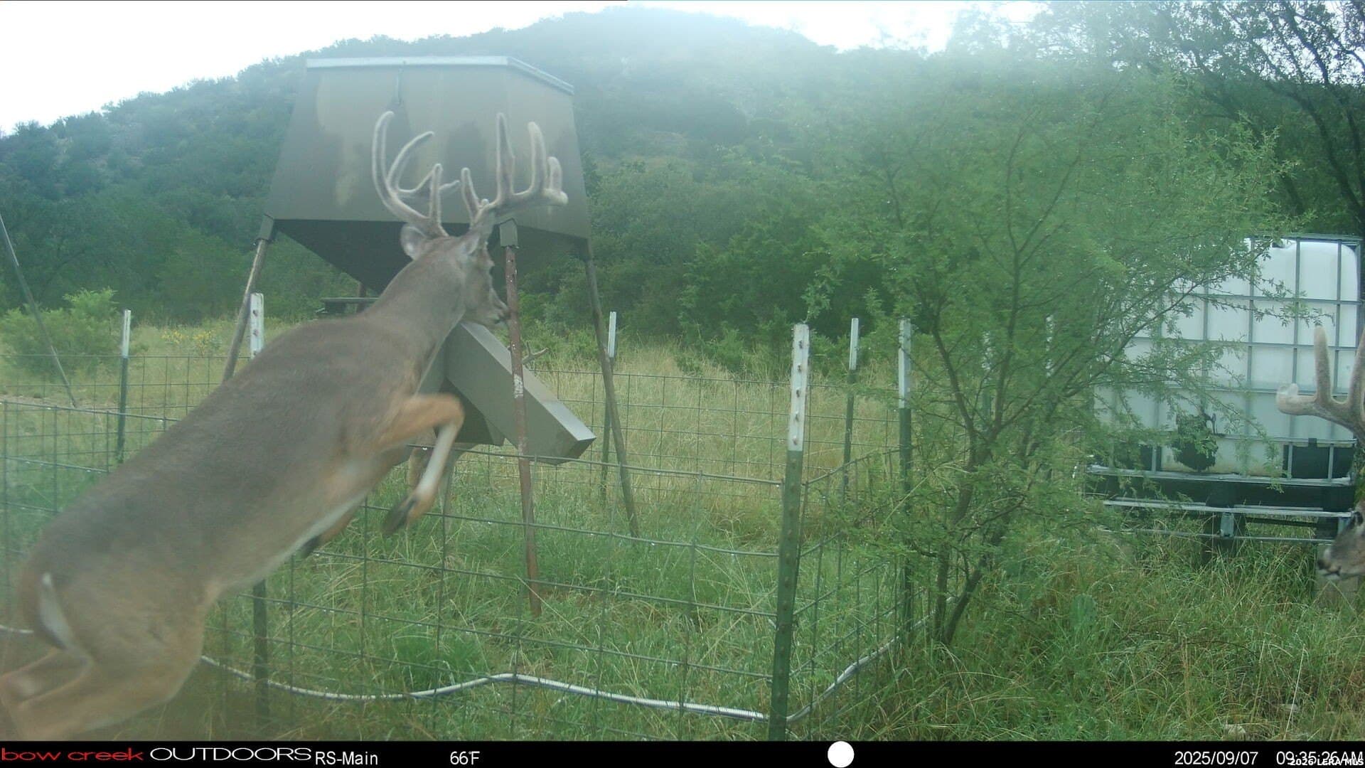 148.66 acres in Edwards County - photo 6