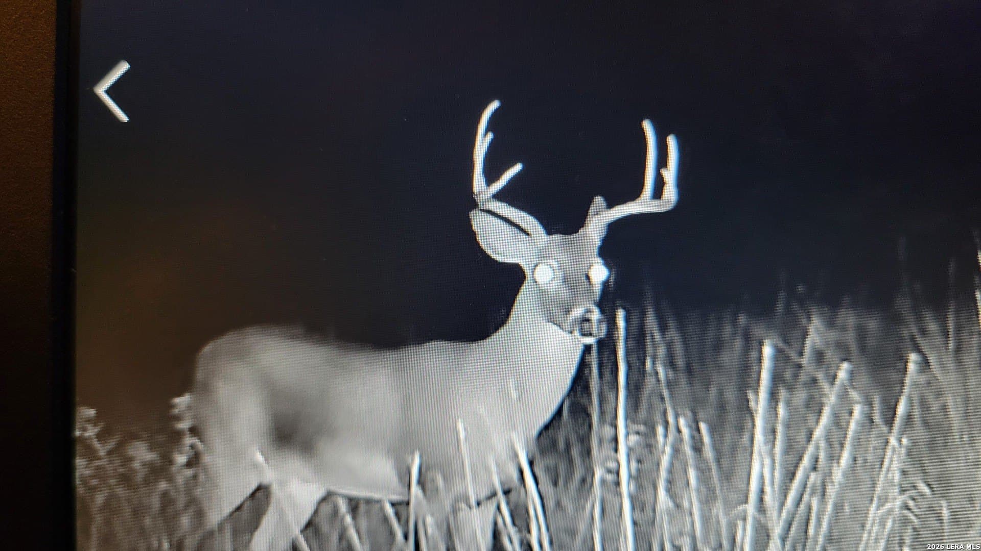 148.66 acres in Edwards County gallery image 2