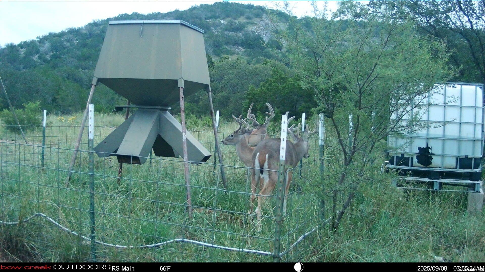 148.66 acres in Edwards County gallery image 4