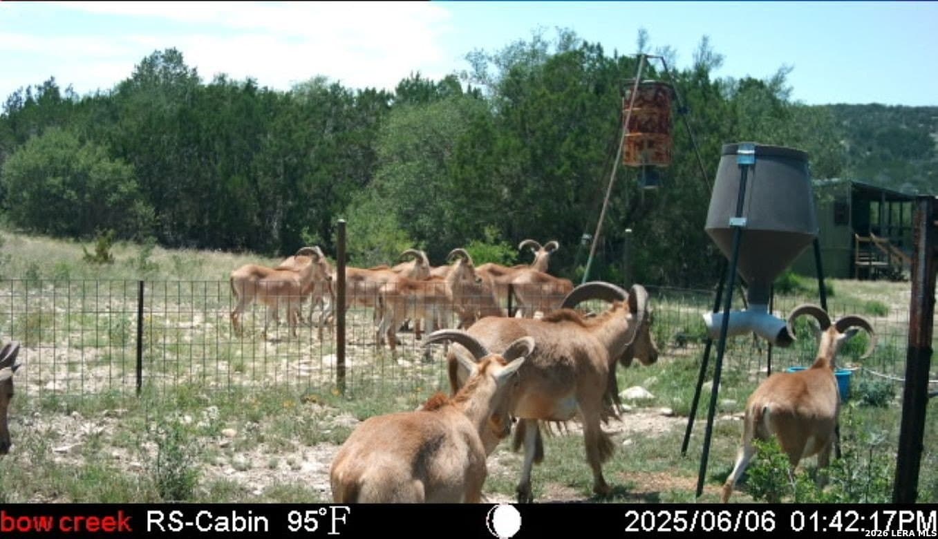 148.66 acres in Edwards County - photo 9