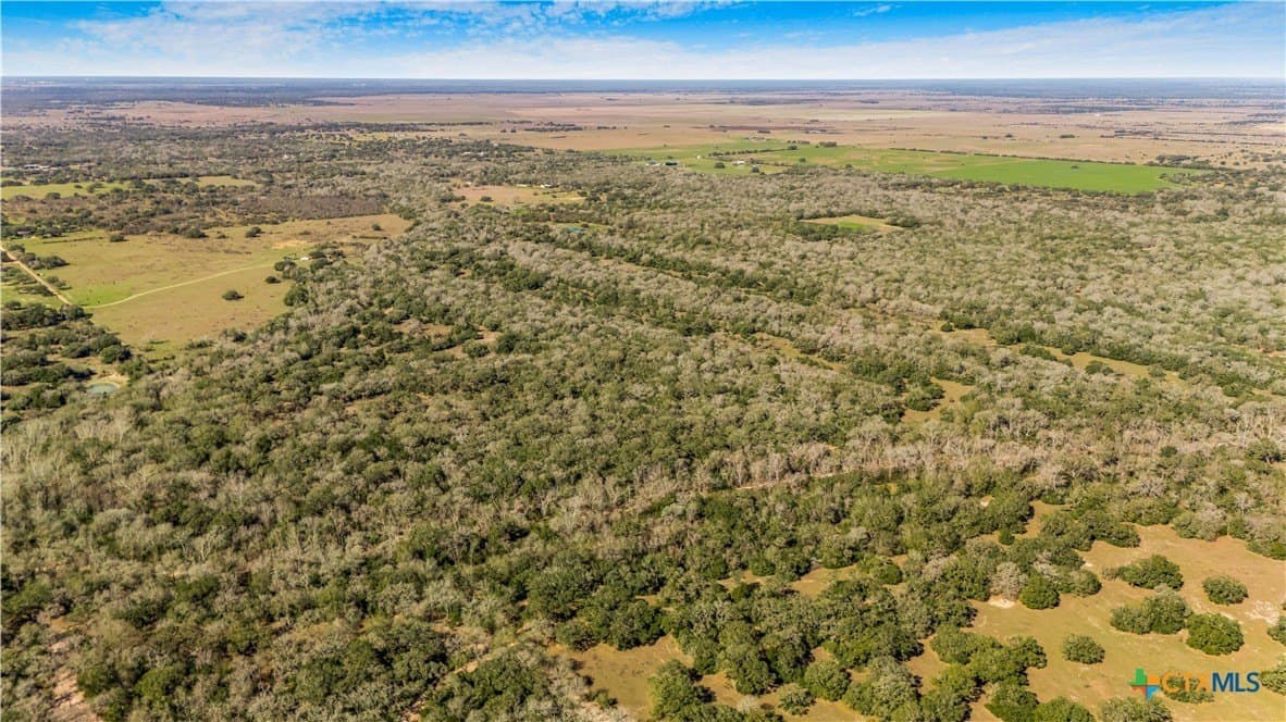 188.82 acres in Victoria County gallery image 3