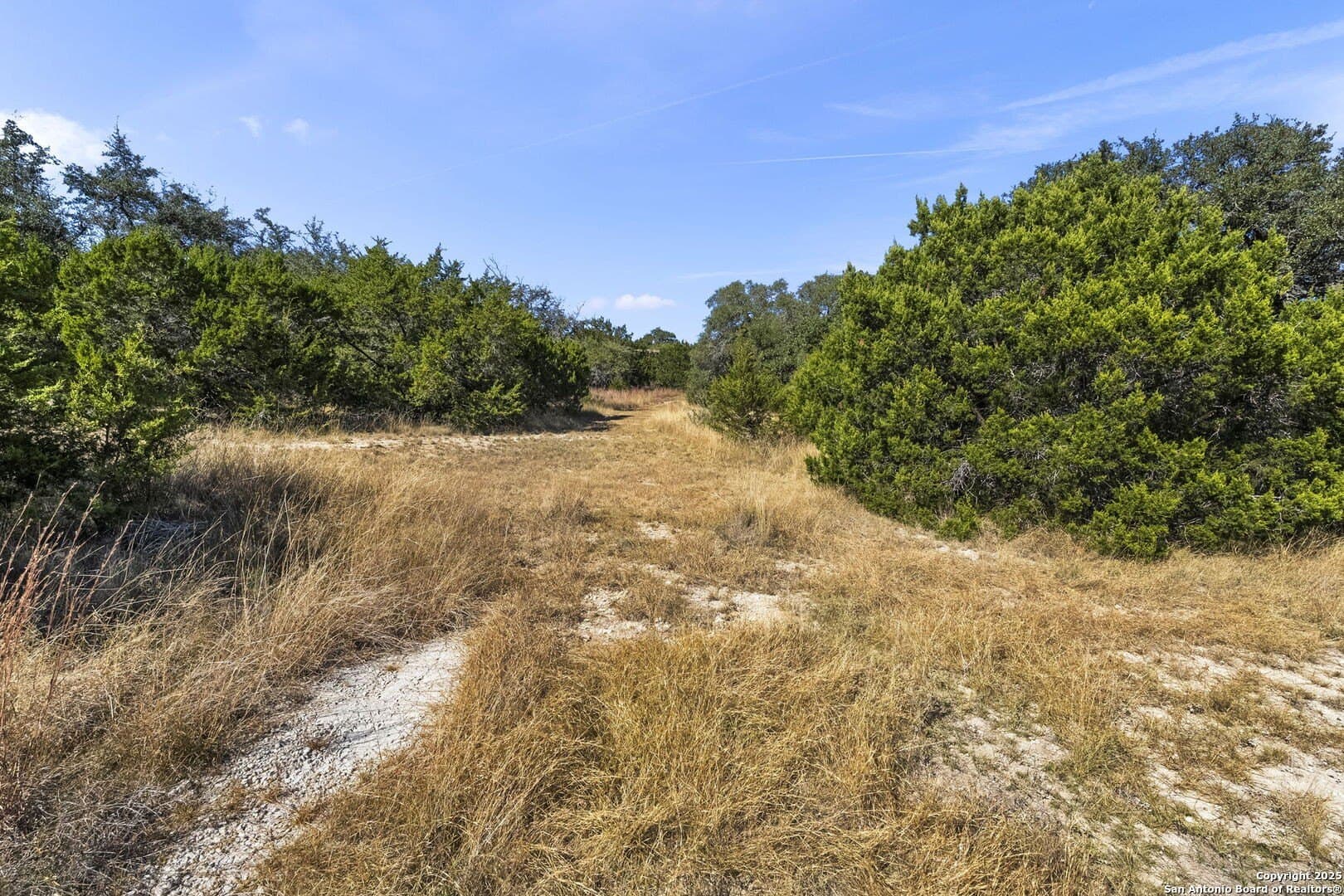 4.95 acres in Kendall County - photo 18
