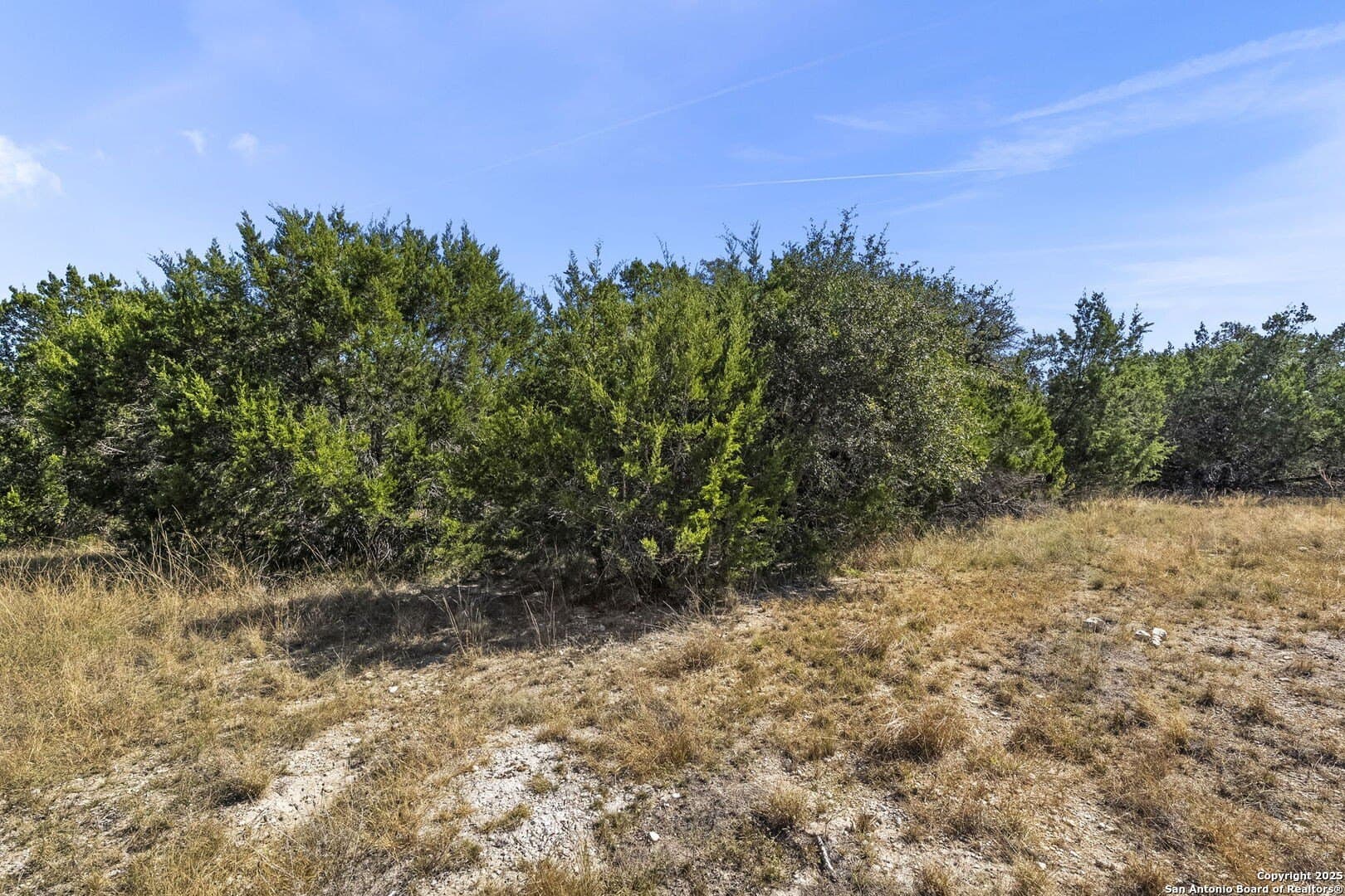4.95 acres in Kendall County - photo 16