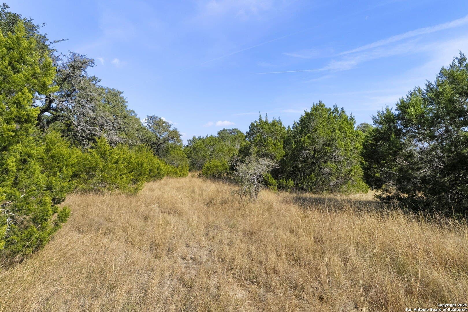 4.95 acres in Kendall County - photo 15