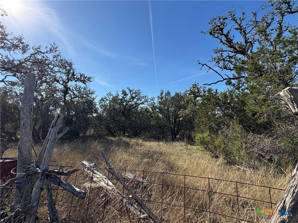 10.01 acres in Hays County gallery image 4